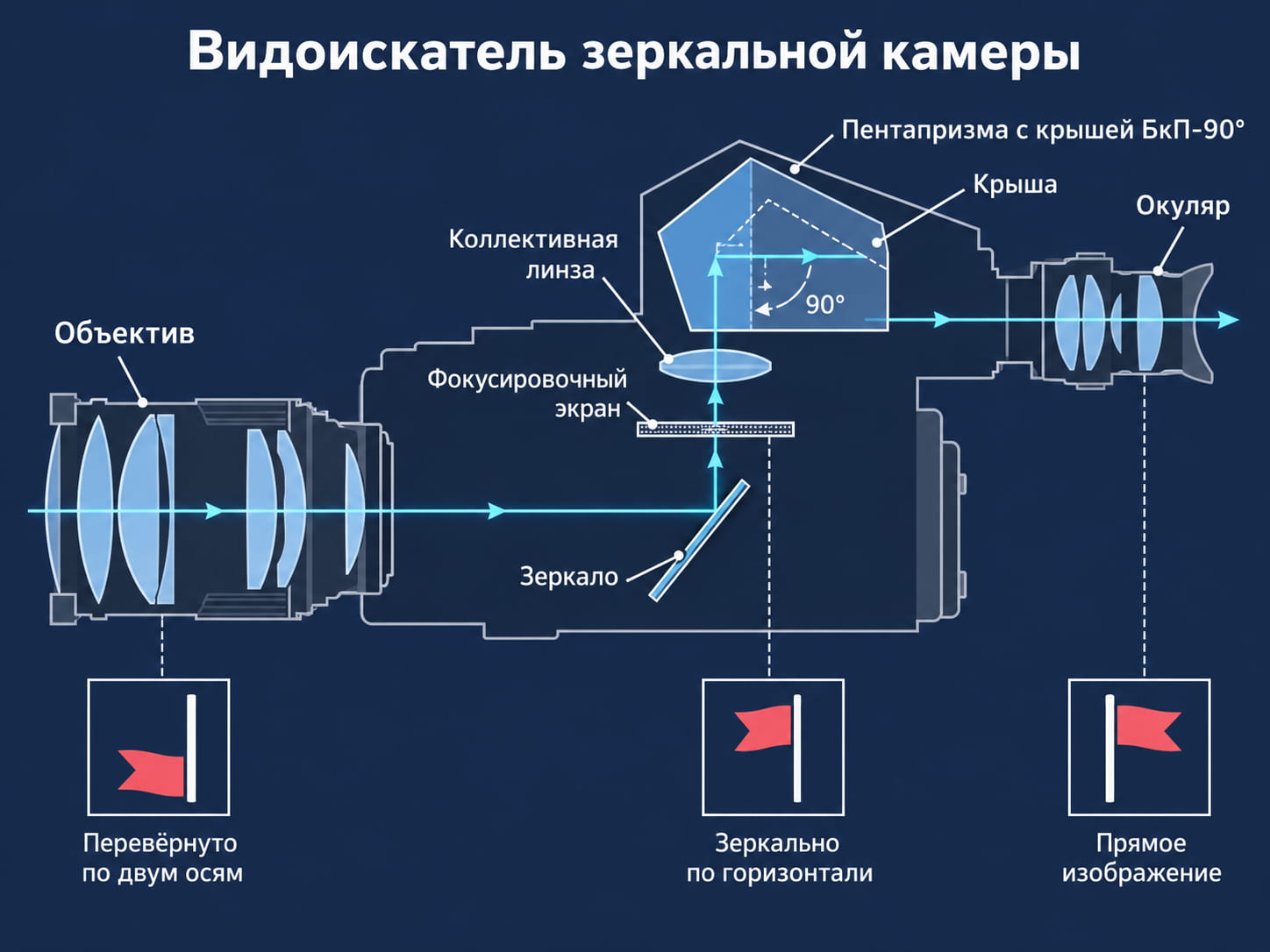 Схема видоискателя зеркальной камеры: зеркало, фокусировочный экран, призма БкП-90° с крышей и окуляр